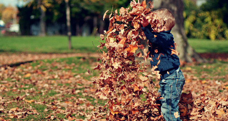 Fall Activities in Denver, CO